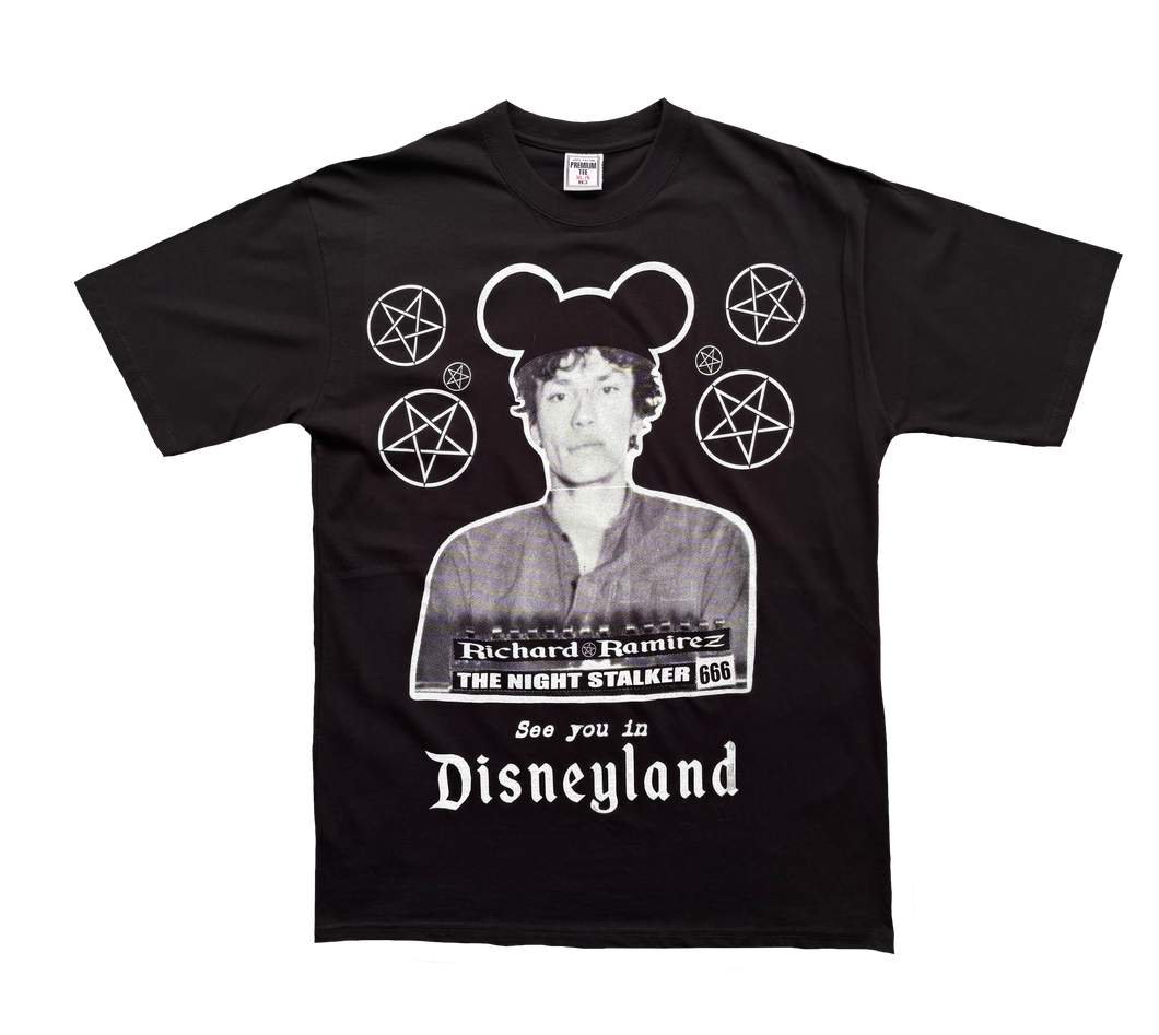See You In Disneyland